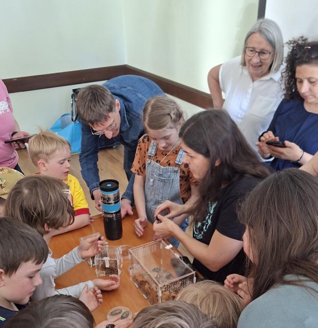 Kinder und Erwachsene beobachten Insekten