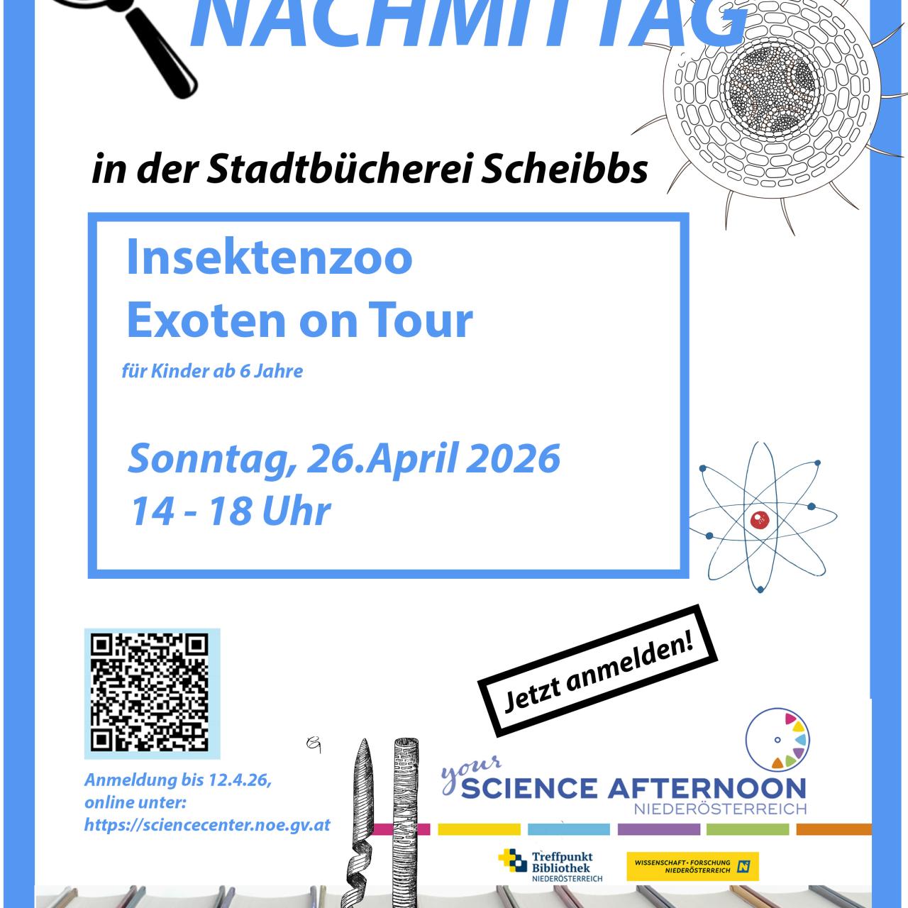 Wissenschaftsnachmittag Insekten